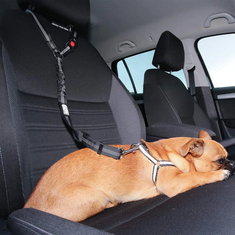 Headrest Bungee Restraint