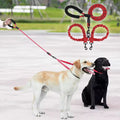 No-Tangle Double Leash